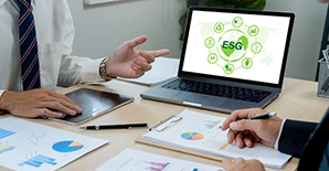 ESG STRATEGY CONSULTING