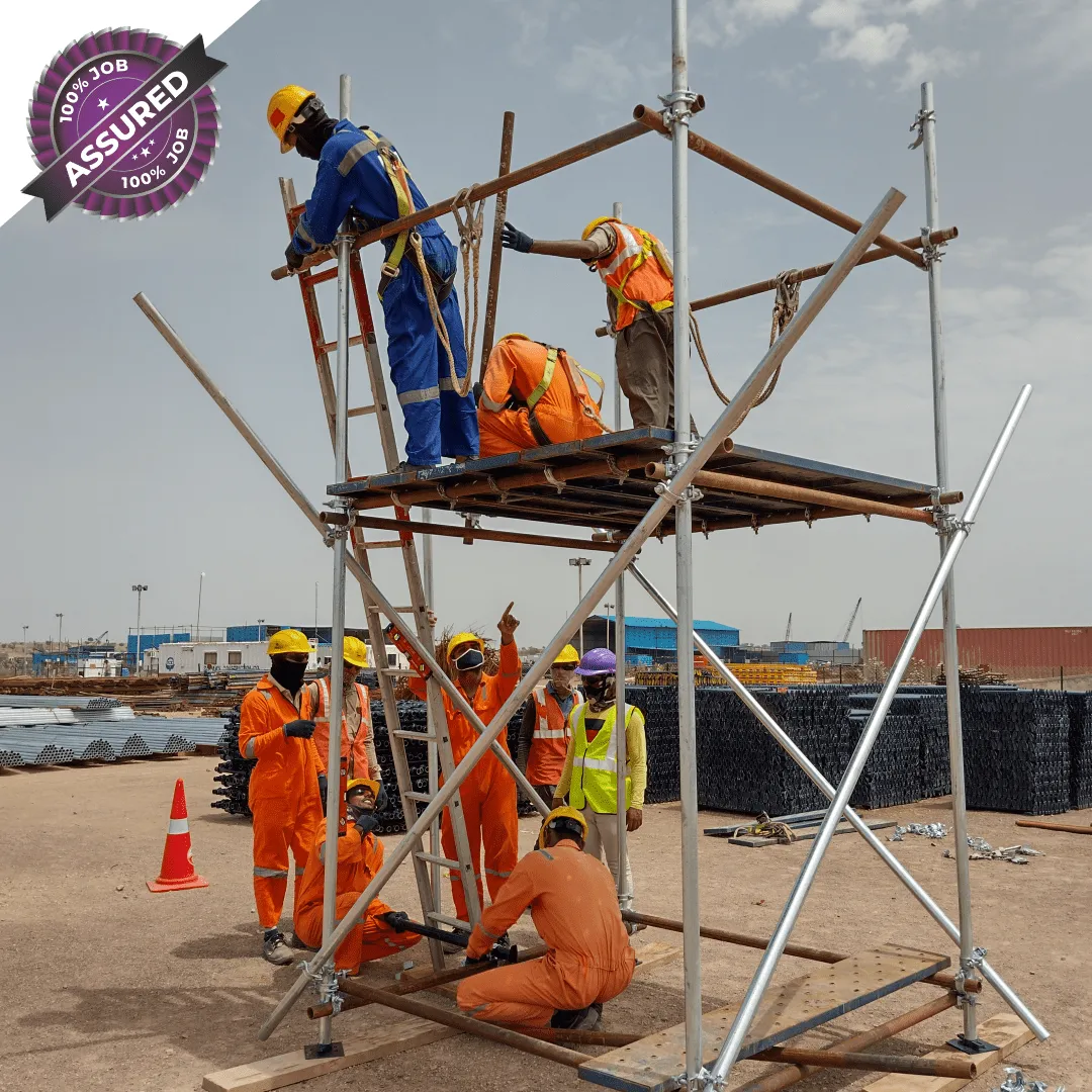 govt.-course-scaffolding