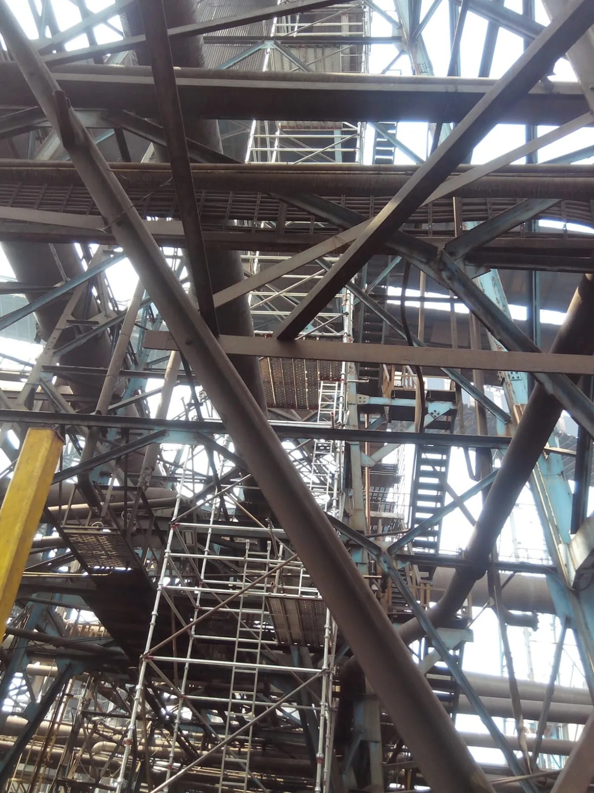 WhatsApp Image 2026-01-09 at 11.20.16