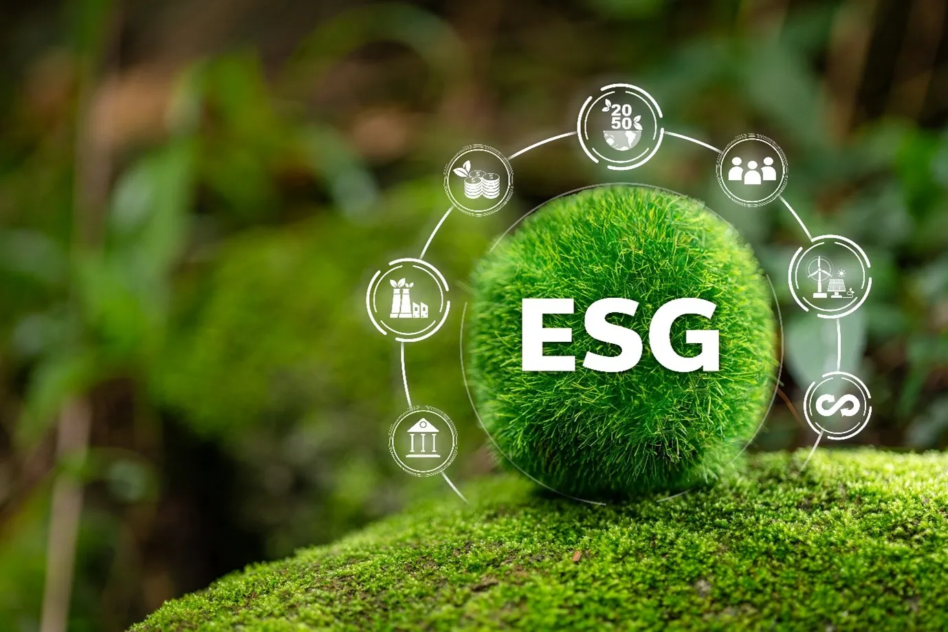 Why ESG Fails Without Safety  The Missing Link in ESG Strategies