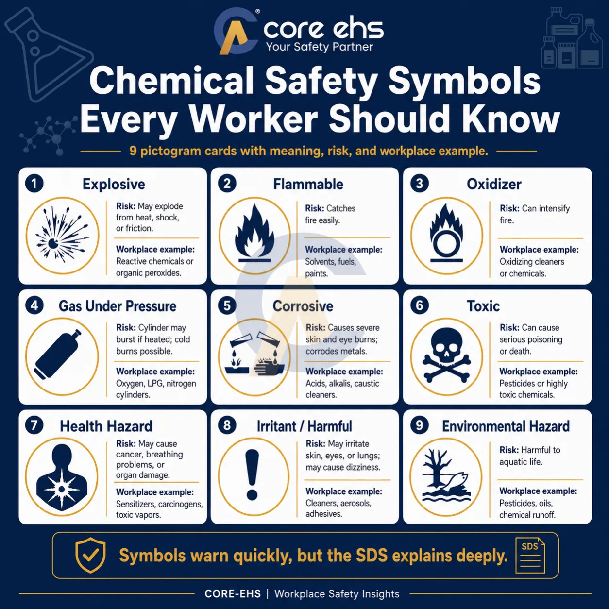 Chemical Safety Symbols Showing Nine Workplace Hazard Pictograms and Their Meanings